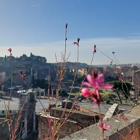 Residenza Maritti Classic - 4* Рим